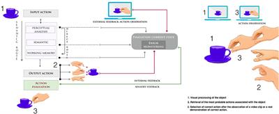 Action Observation for Neurorehabilitation in Apraxia